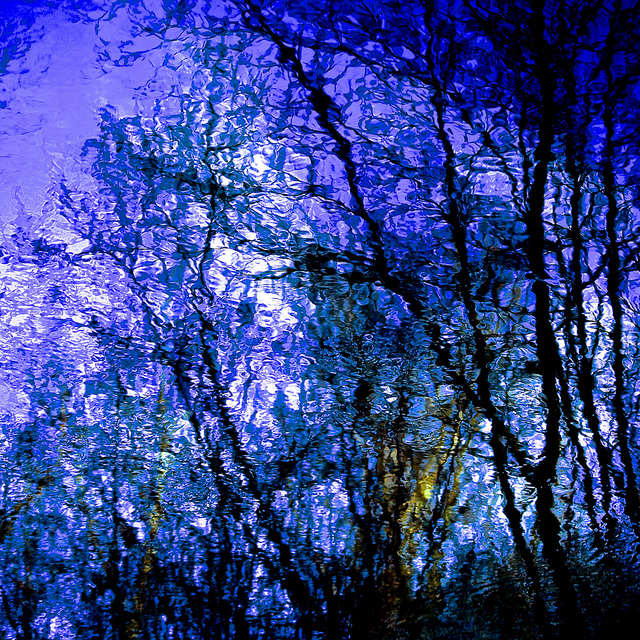 Trees